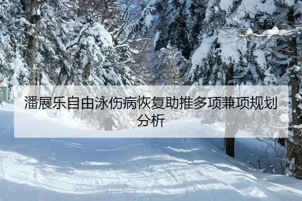 潘展乐自由泳伤病恢复助推多项兼项规划分析
